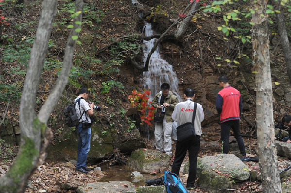 中国新闻摄影记者聚焦“枫叶之乡”本溪县 中国新闻摄影记者聚焦“枫叶之乡”本溪县
