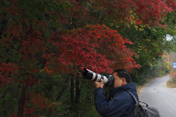 中国新闻摄影记者聚焦“枫叶之乡”本溪县 中国新闻摄影记者聚焦“枫叶之乡”本溪县