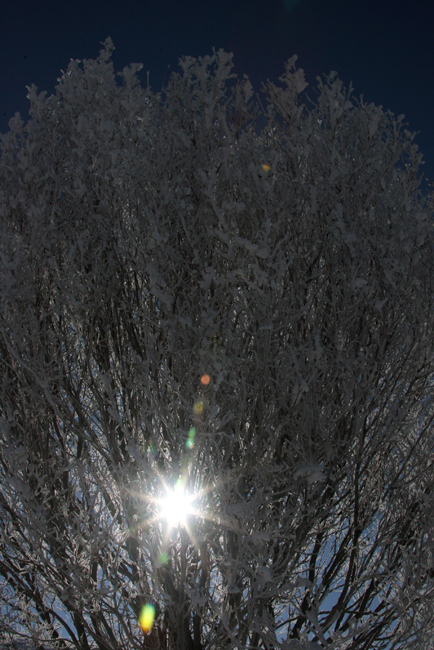 走近昭苏 感受“雪之恋”
