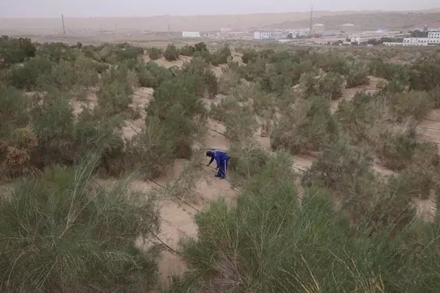 从上万幅摄影作品中脱颖而出！《绿化大漠不是梦》为何能获中国新闻奖？