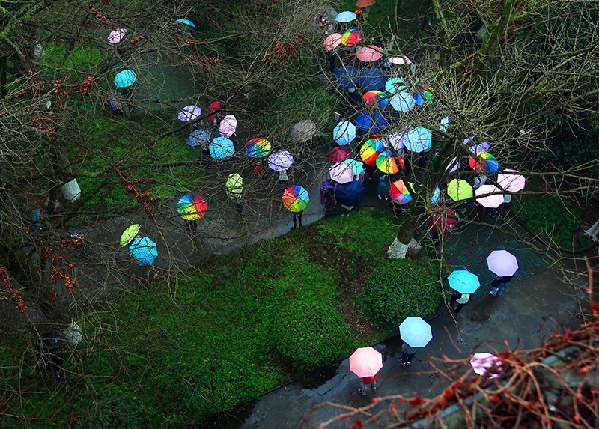 2017形象中国?百家媒体聚焦绿色衢州优秀摄影作品选登