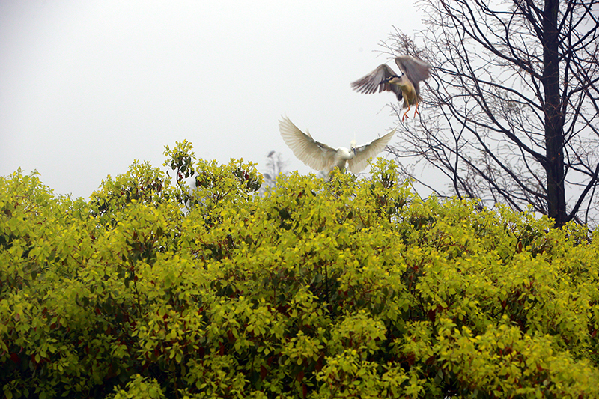 2017形象中国?百家媒体聚焦绿色衢州优秀摄影作品选登
