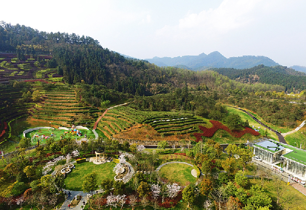 2017形象中国?百家媒体聚焦绿色衢州优秀摄影作品选登