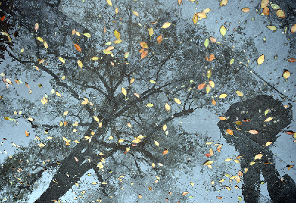 2017形象中国?百家媒体聚焦绿色衢州优秀摄影作品选登