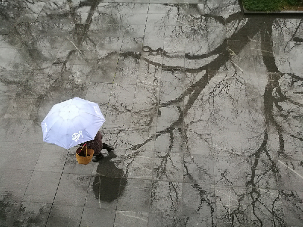 2017形象中国?百家媒体聚焦绿色衢州优秀摄影作品选登