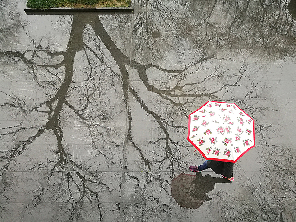 2017形象中国?百家媒体聚焦绿色衢州优秀摄影作品选登