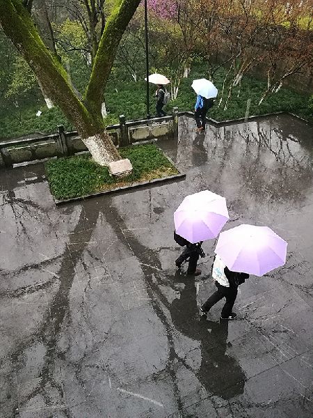 2017形象中国?百家媒体聚焦绿色衢州优秀摄影作品选登