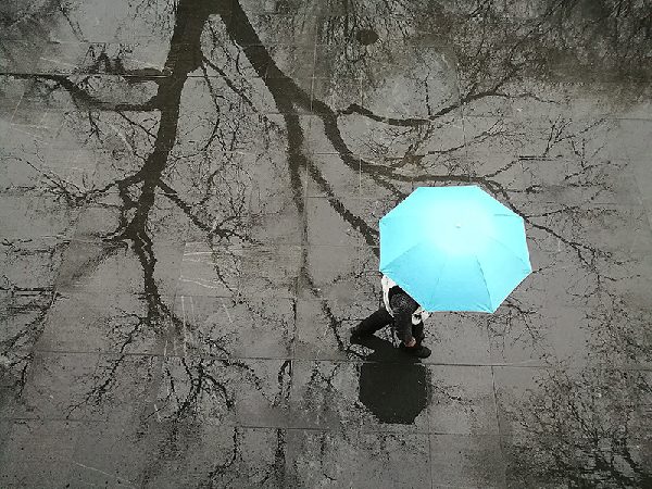 2017形象中国?百家媒体聚焦绿色衢州优秀摄影作品选登