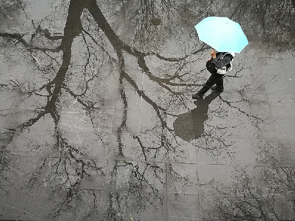 2017形象中国?百家媒体聚焦绿色衢州优秀摄影作品选登