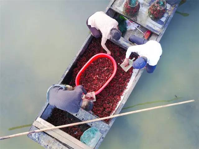 【天空茶座(第1期)】 对话“机长” 王建华