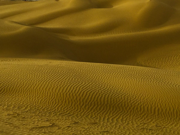 致敬！塔里木！