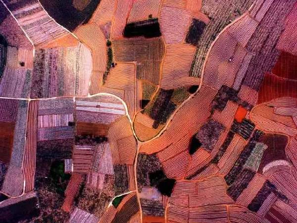 天空茶座(第2期)】对话“机长”黄孝邦