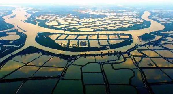 天空茶座(第2期)】对话“机长”黄孝邦