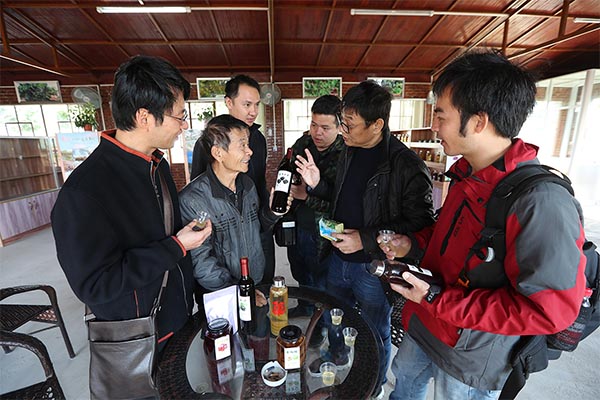 探访南向通道 聚焦美丽钦州 探访南向通道 聚焦美丽钦州