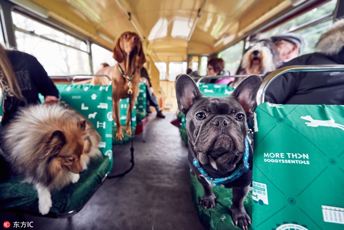 一月最佳动物摄影趣闻赏：致自然，敬生命