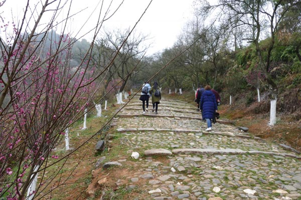 探梅关古道 看人间沧桑