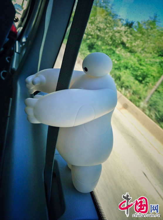 大白的美国游历记[上篇]