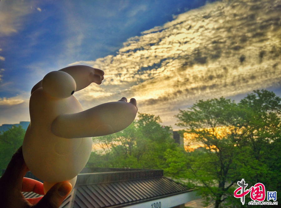 大白的美国游历记[上篇]