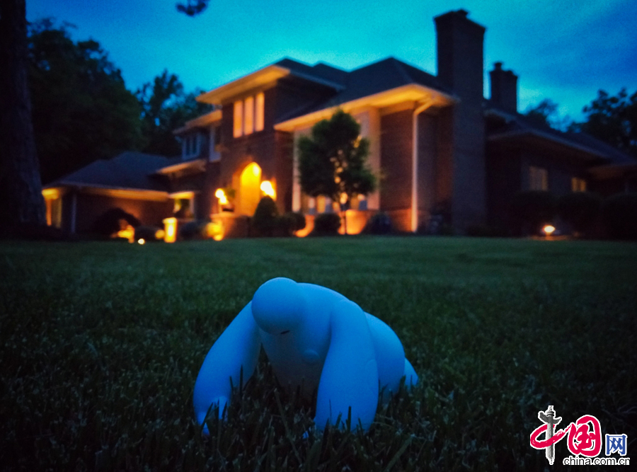 大白的美国游历记[上篇]