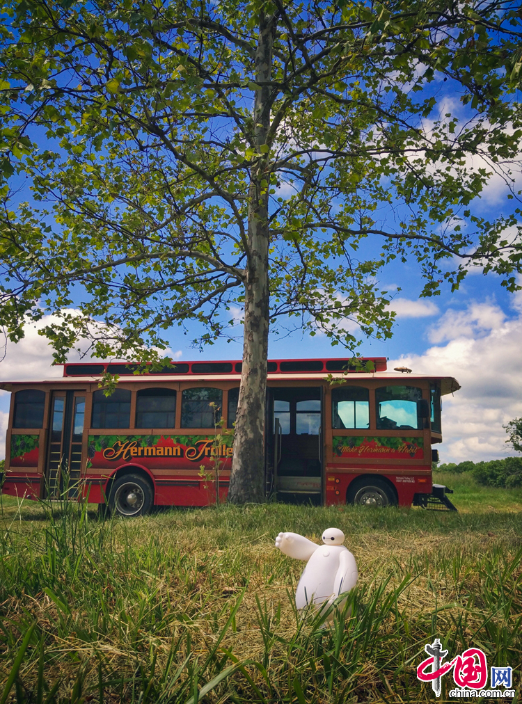 大白的美国游历记[上篇]