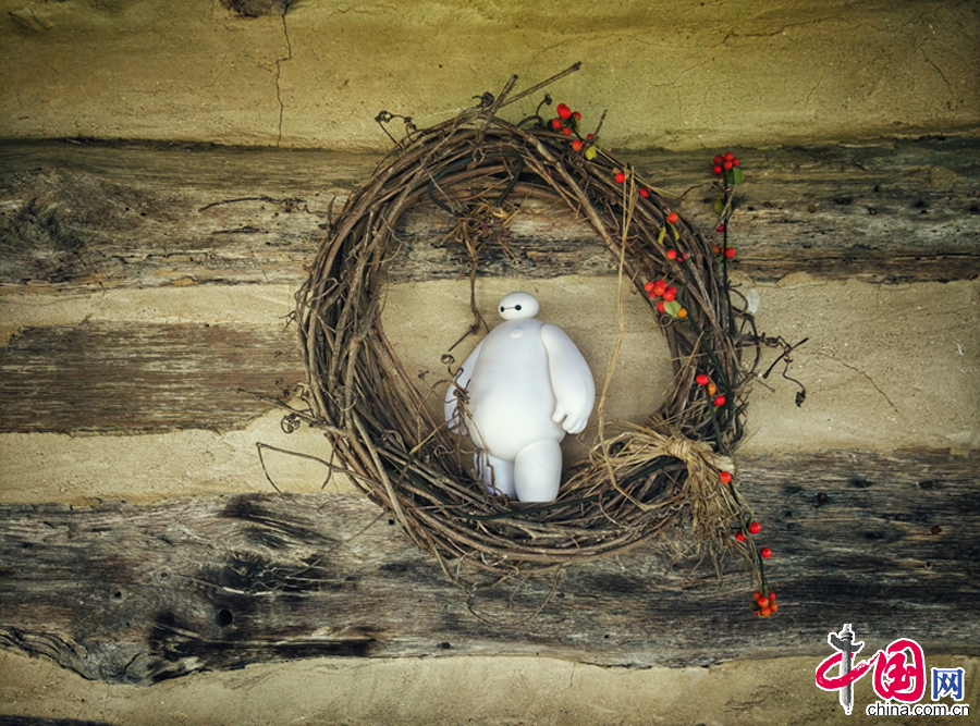 大白的美国游历记[上篇]