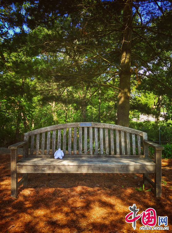 大白的美国游历记[上篇]