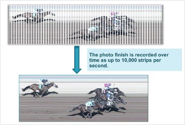发现罕见佳能300mmF1.8镜头 全球仅存4支 发现罕见佳能300mmF1.8镜头 全球仅存4支