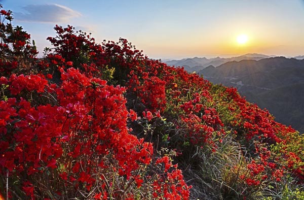中国新闻摄影学会创作基地落户隆林 中国新闻摄影学会创作基地落户隆林