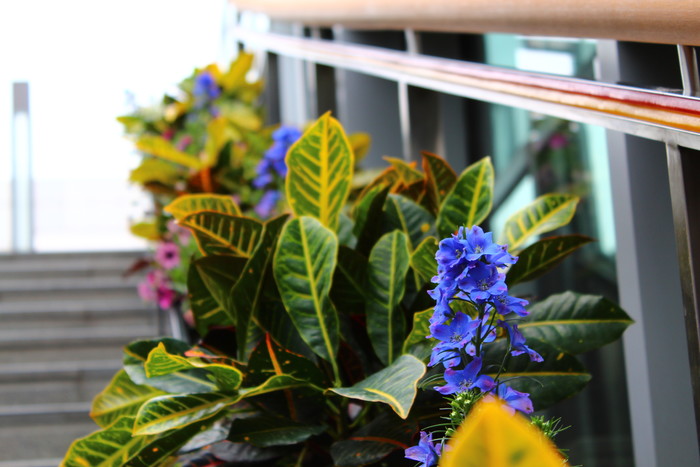 家用入门单反 佳能EOS 1500D、3000D评测