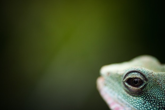 什么才是你最需要的镜头　看看这7点就知道了