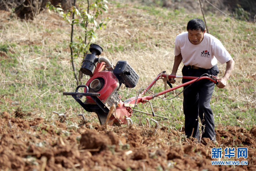 “拿起锄头干活，放下锄头唱歌”——他们从田间地头唱到国际舞台