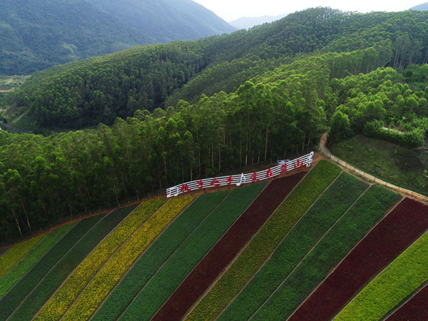 庆祝改革开放40周年：全国百家媒体聚焦花样漳州