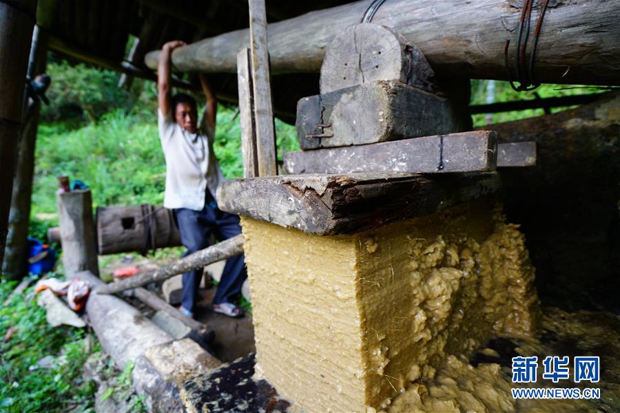 #（社会）（2）瑶寨里的古法造纸技艺