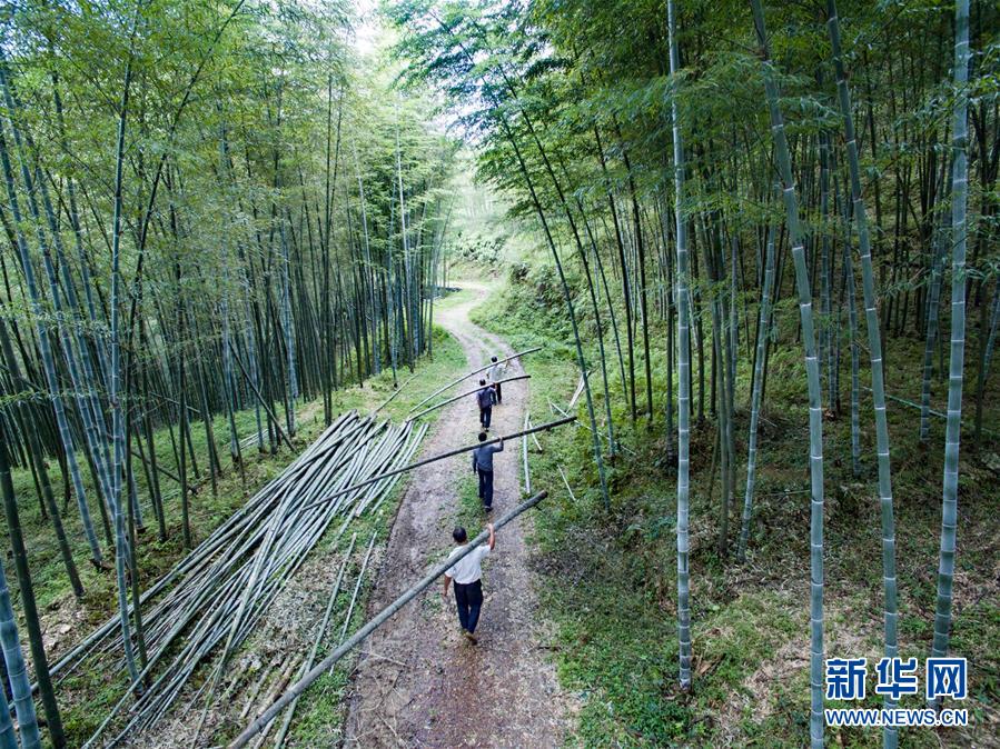 #（社会）（8）瑶寨里的古法造纸技艺