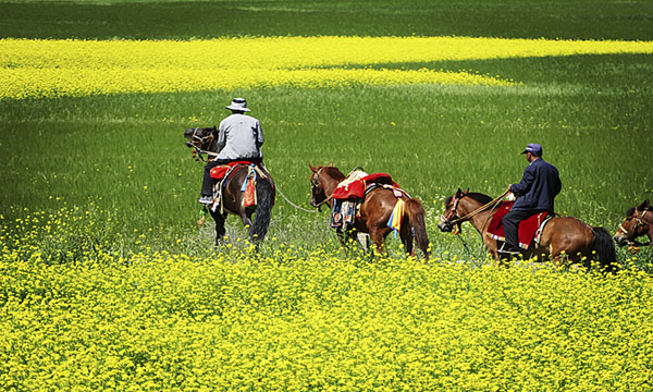 “中华之美”甘肃金张掖影像巡展在北京开幕 “中华之美”甘肃金张掖影像巡展在北京开幕