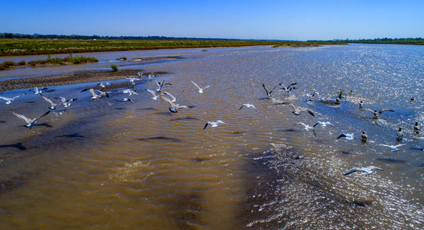 “中华之美”甘肃金张掖影像巡展在北京开幕 “中华之美”甘肃金张掖影像巡展在北京开幕
