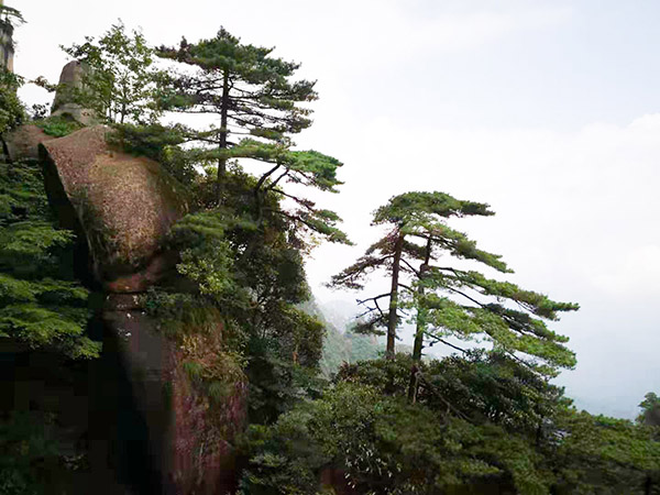 主流媒体"助力乡村振兴.聚焦大美上饶"新闻摄影釆访活动今日启动 主流媒体"助力乡村振兴.聚焦大美上饶"新闻摄影釆访活动今日启动