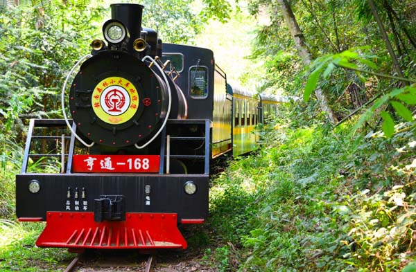 红土地上炼“四力” 长征起点悟初心 红土地上炼“四力” 长征起点悟初心