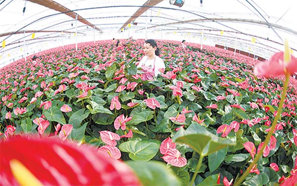 红土地上炼“四力” 长征起点悟初心 红土地上炼“四力” 长征起点悟初心