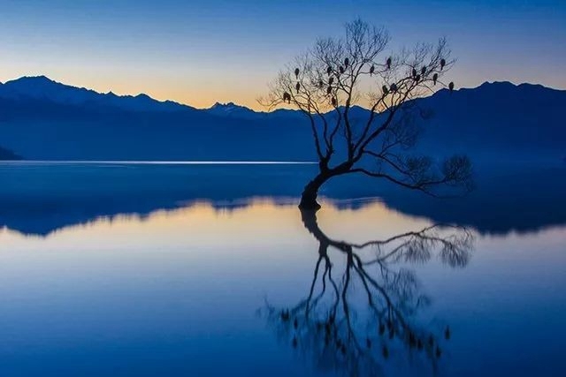 打破 “黄金时刻” 依赖症！如何在不同时间段拍出好片