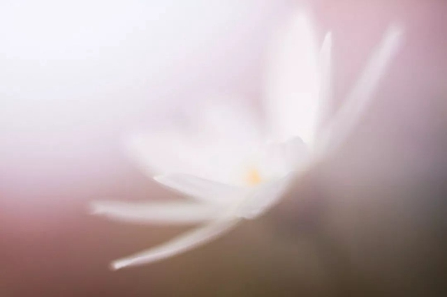 一分钱十分货！4种低成本微距特效制作方案