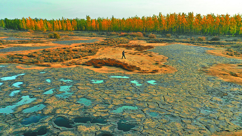 腾格里沙漠“浓缩”黑液20天清出4万吨 腾格里沙漠“浓缩”黑液20天清出4万吨
