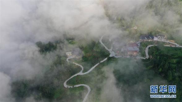 #（美丽中国）（2）湖北利川：云海似画卷