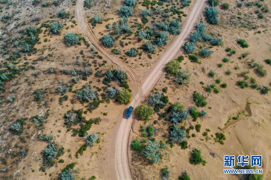 （环境）（3）库布其沙漠披绿装　