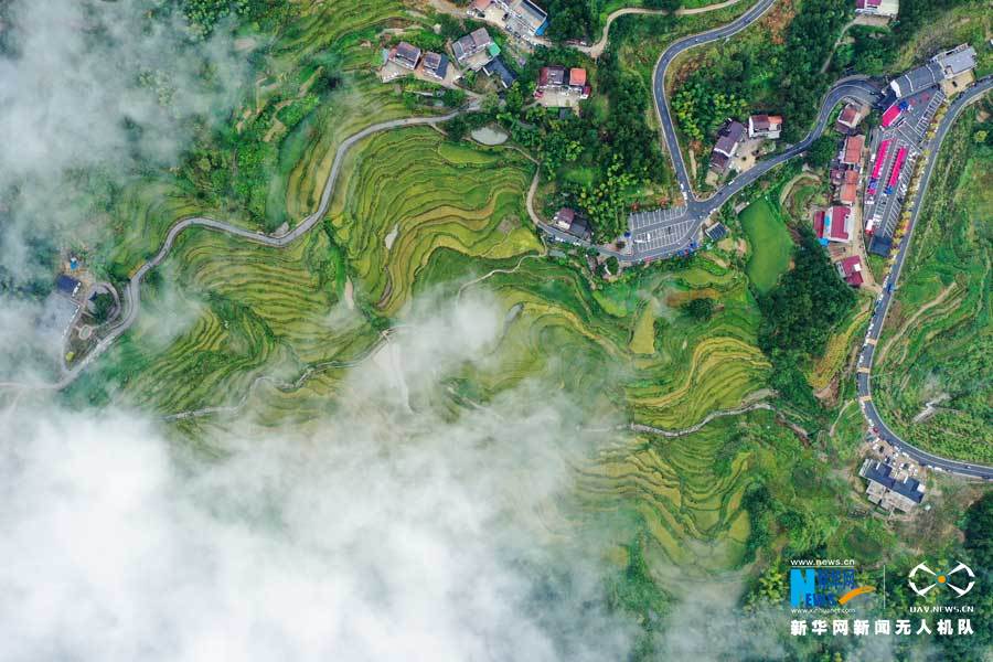 【“飞阅”中国】湖北蕲春:农民丰收节“农味”浓