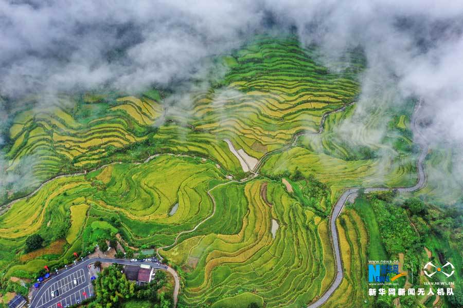 【“飞阅”中国】湖北蕲春:农民丰收节“农味”浓