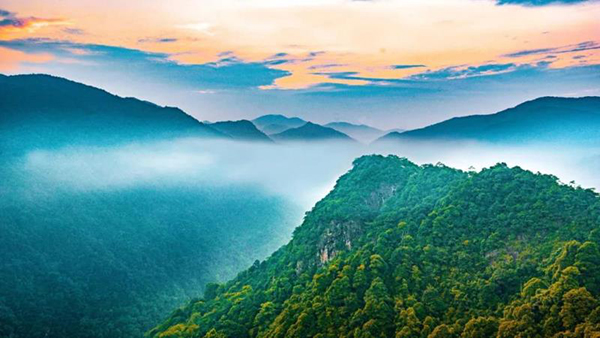 第30届人民摄影“金镜头”（2020年度）新闻摄影作品评选