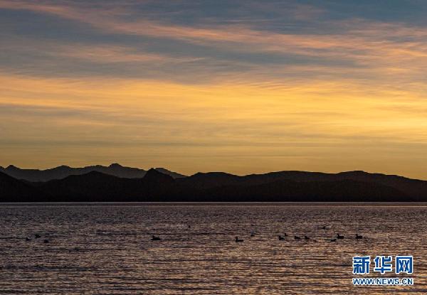 西藏:冬日羊湖 动物乐园