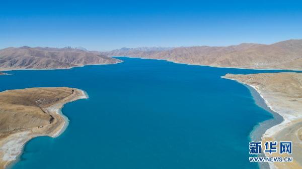 西藏:冬日羊湖 动物乐园