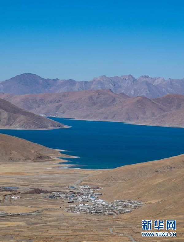 西藏:冬日羊湖 动物乐园